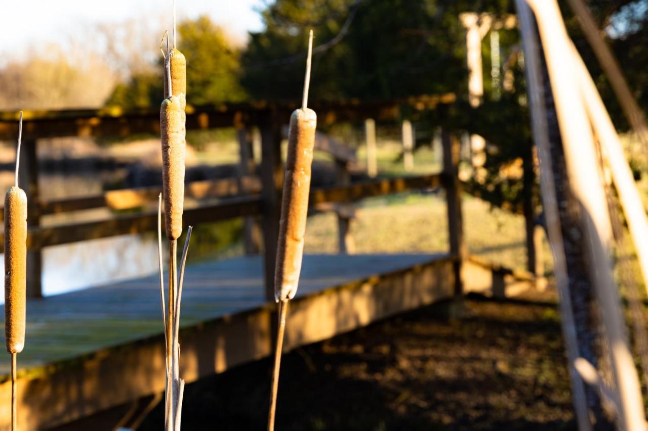 Moon Lake Farm Chesterville Εξωτερικό φωτογραφία